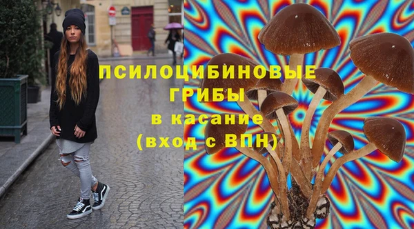 МДПВ Абинск