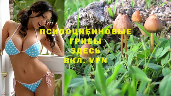 COCAINE Абаза